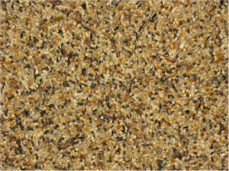 Penn Seed Small Bird Aviary, 625 g (1.4 lbs) Small Zip Bag